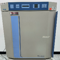 Thermo Scientific NAPCO Series 8000 WJ Double Stack Co2 Incubator image 2